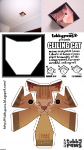 ceiling_cat