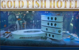 goldfish-hotel1