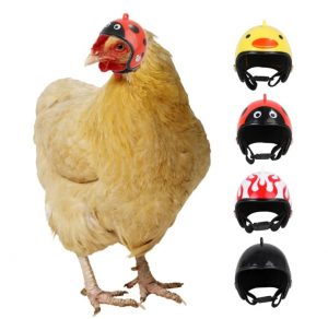 cascos para pollos